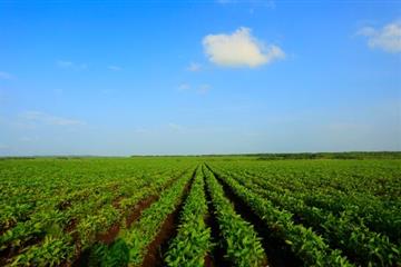 星空體育APP:愛(ài)色麗：汽車業(yè)顏色控制市場(chǎng)占有率超80%